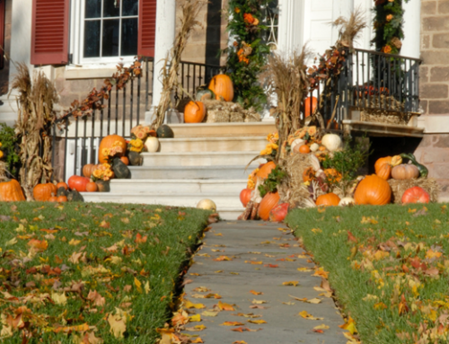 4 Amazing Tips for Fall Lawn Maintenance in Olathe
