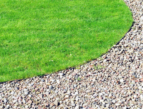 #1 Landscape Companies in Olathe: Achieving a Healthy Lawn with Efficient Water Usage
