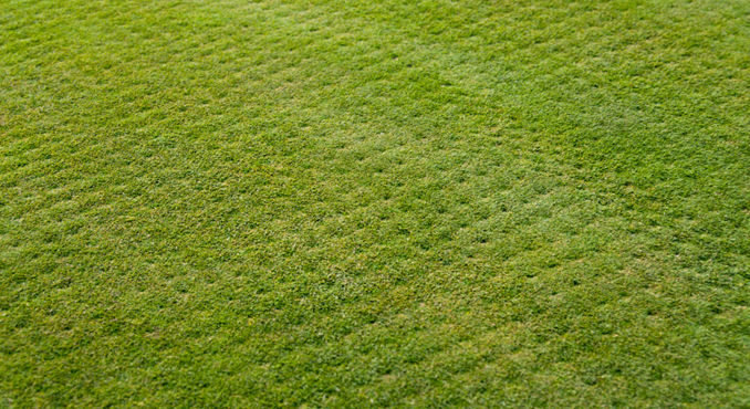 Commercial Lawn Maintenance in Olathe