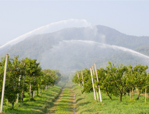 Use a #1 Commercial Landscape Company in Olathe to Check that Failing Spring Irrigation System