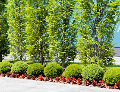 A Landscape Company in Olathe Gives 3 Ideas to Transform Your Outdoor Space
