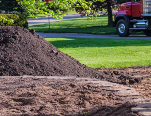 6 Perfect Reasons to Hire the Best Landscape Company in Olathe