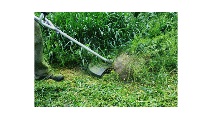 Olathe Lawn Care Services