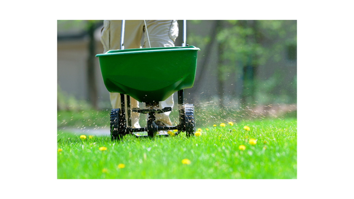 Olathe Lawn Care Services