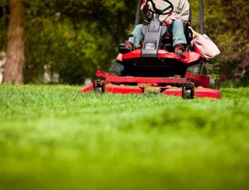 #1 Commercial Lawn Care Company in Olathe {Gives Essential} Spring Cleanup Tips for a Healthy Lawn