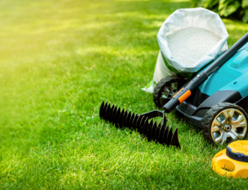 Landscape Companies in Olathe: Summer Lawn Care 101 – Your Guide to a Healthy and Vibrant Yard